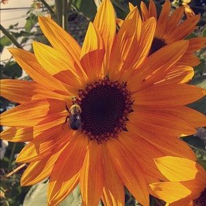 Meet your Posher, Mariah